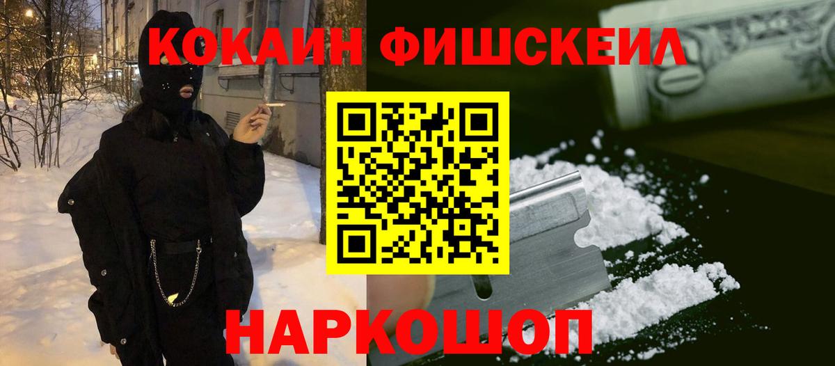 Будённовск  COCAIN Fish Scale  где купить наркотик  Вход с VPN 