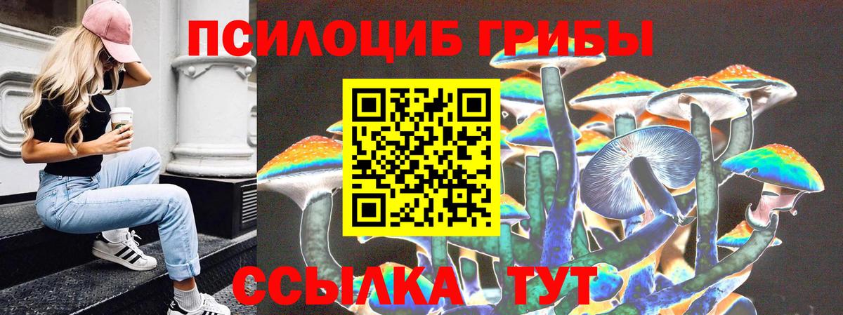 купить наркотик  Галлюциногенные грибы ЛСД  Псилоцибиновые грибы Psilocybe  Вход с VPN  Будённовск 